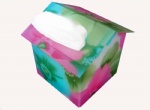 House shape Acrylic tissue box RDH001